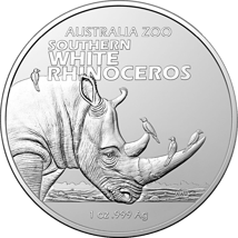 1 Unze Silber Australien Zoo südliches Breitmaulnashorn 2023 (Auflage: 25.000)