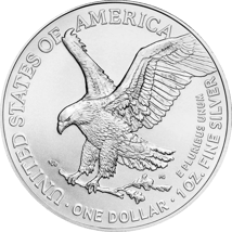 60 x 1 Unze Silber American Eagle 2024 (Typ II)